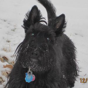 Meet your Posher, Lynne